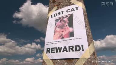 丢失的宠物海报，上面写着丢失的猫在柱子上，对着天空延时拍摄